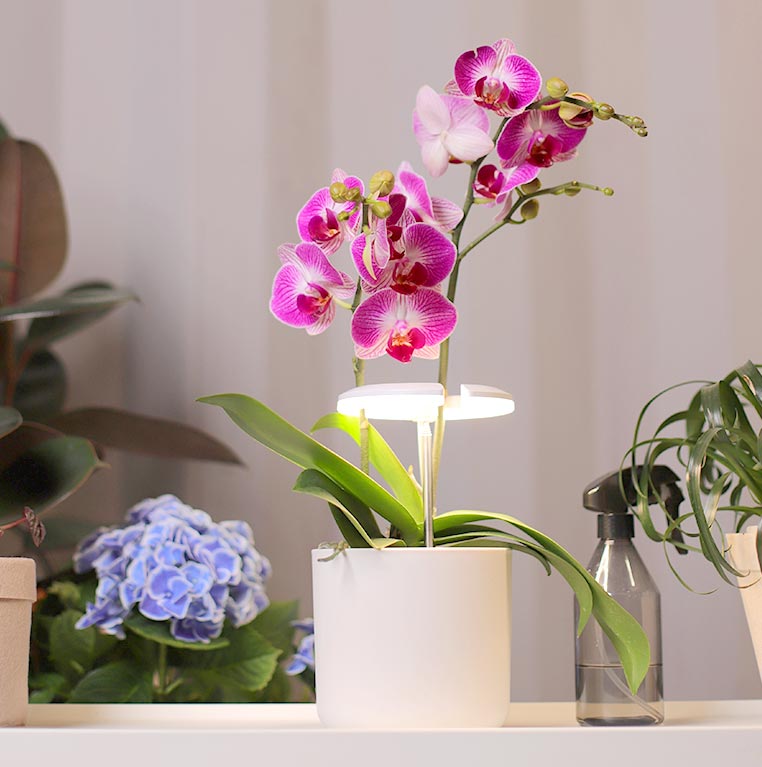 led for growing plants manufacturer