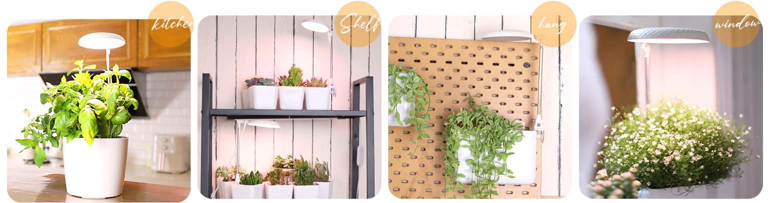 led lights for growing plants factroy