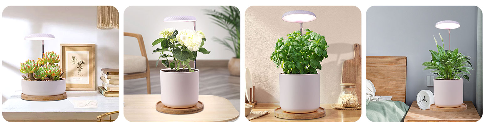 light for indoor plants manufacturer