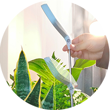 mini grow light supplier
