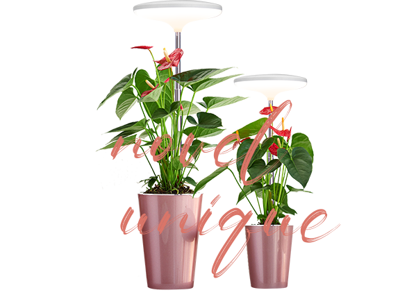 plant grow lights indoor supplier