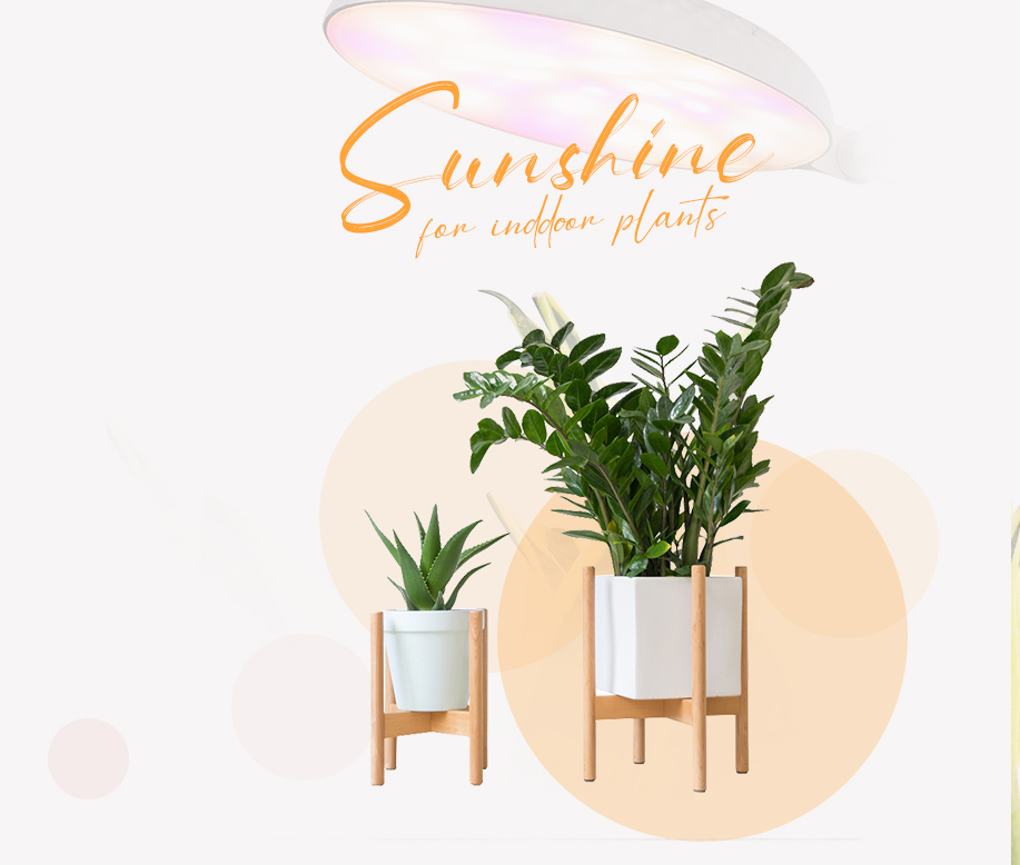 plant lamps supplier