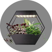 Durable Frame