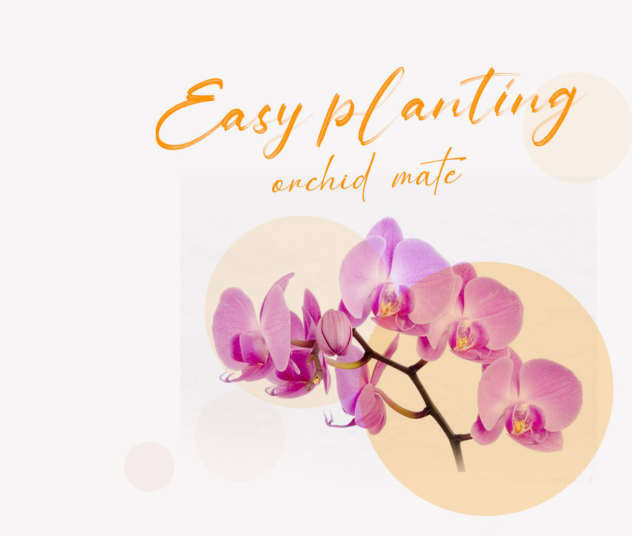 plant light for indoor plants OEM