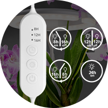 Functional Controller