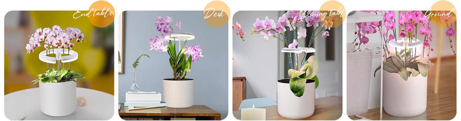 plant light for indoor plants manufacturer