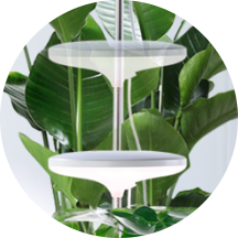 Height Adjustable