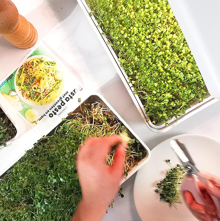 seed starter kit factory