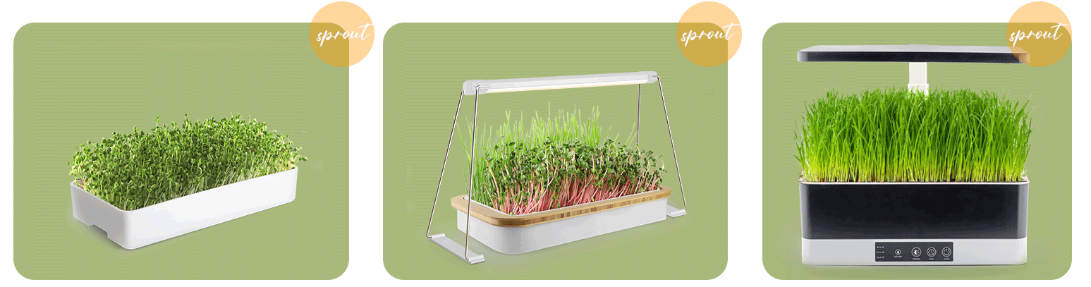 seed starter kit manufacturer