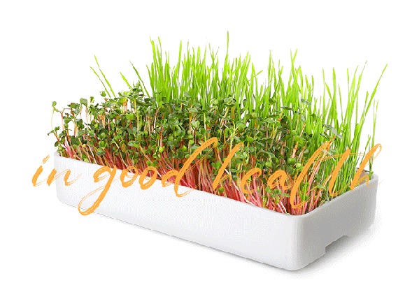 seed-starter-kit-supplier1