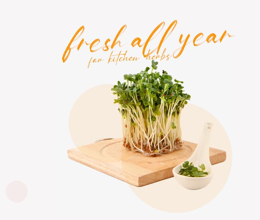 seed starter kit