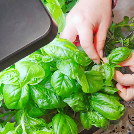 seed starter planters factory