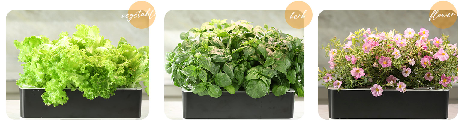 seed starter planters manufacturers