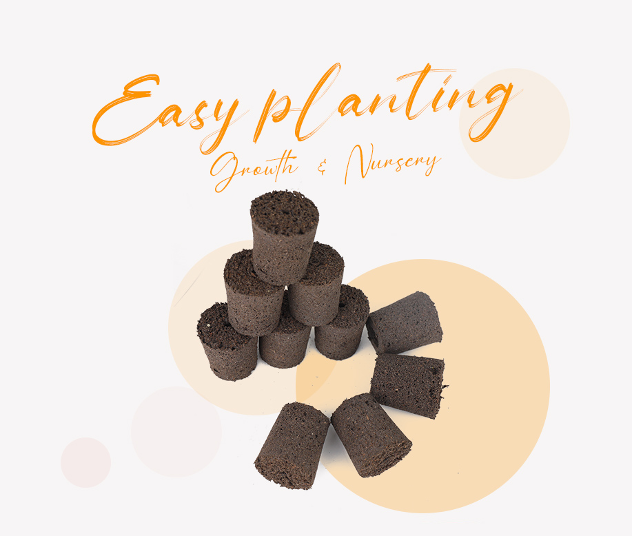 seed starter planters