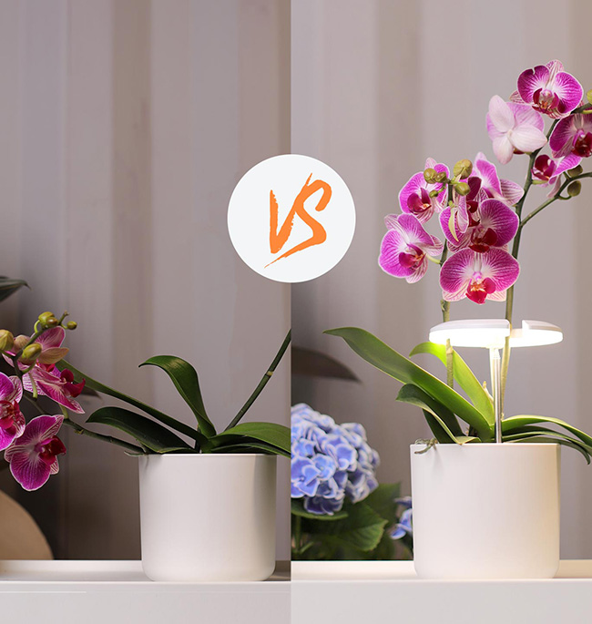 Product Selling Points