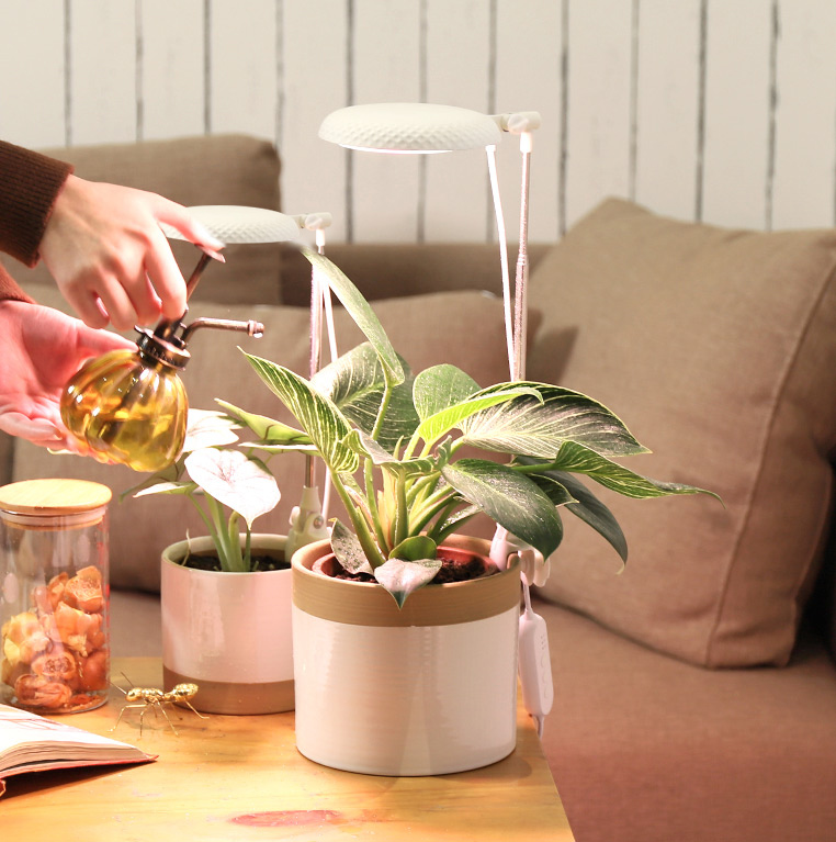 small plant lights factory