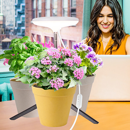 smart grow light factory