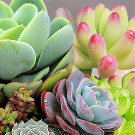 standing grow light supplier