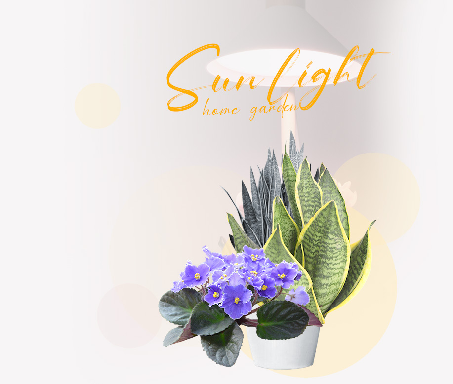 tabletop grow light wholesaler