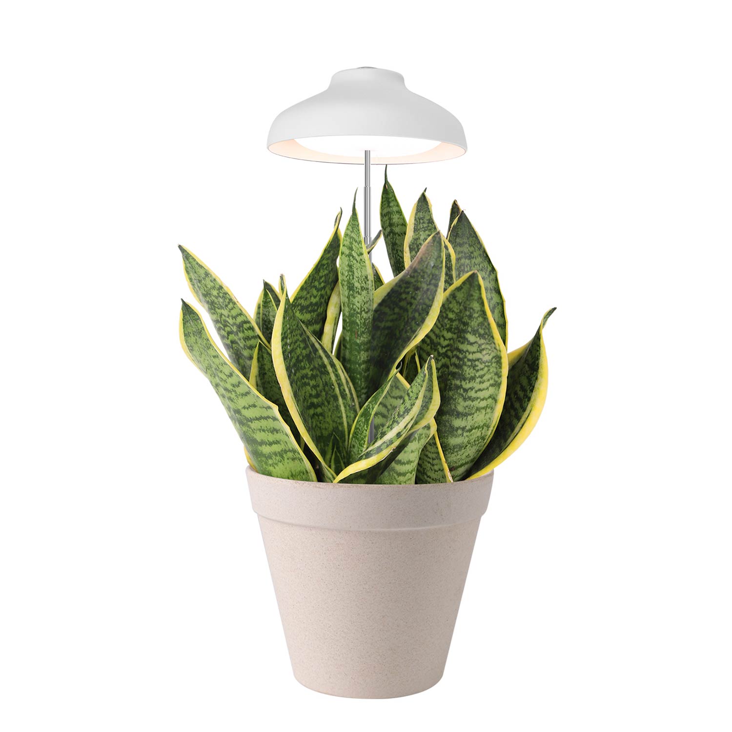 Umbrella on sale grow light